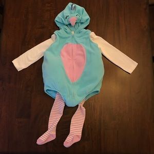Peacock Halloween Costume Outfit
